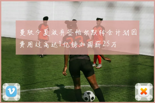 曼联今夏放弃签帕尔默转会计划因费用过高达1亿镑加周薪25万